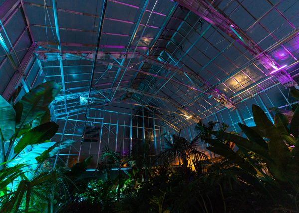 Prospiant-MemphisBotanNight--4