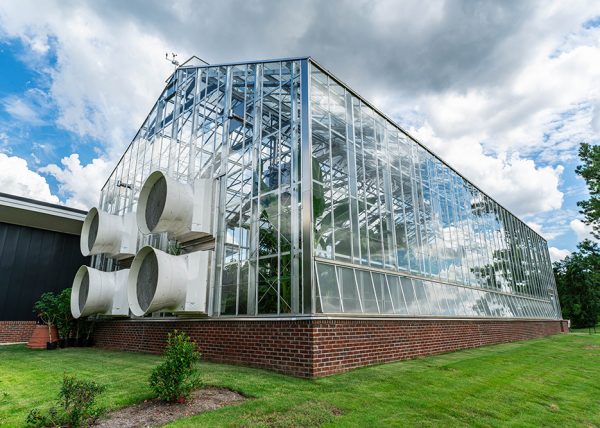 Prospiant-MemphisBotanical--58